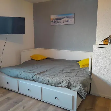 Studio Du Lac Bleu Appartement Morillon